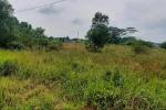 Dijual Lahan 4,9 Hektar, SHM di Pengasinan , Sawangan Depok