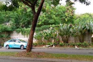 Dijual Kavling Komersial di Jln. Bayangkara Pusdiklantas, Pakulonan, Serpong Utara, Alam Sutera