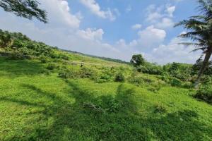 Dijual Tanah di Jl. Raya Dago,  Kebasiran, Kec. Parung Panjang, Kab. Bogor