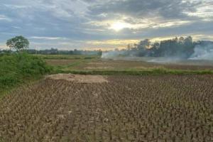 Dijual Tanah di Babat, Legok, Tangerang, Banten