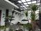 Dijual Rumah di Jln Siantan Raya, Cengkareng, Jakarta Barat