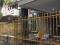 Dijual Rumah di Taman Semanan Indah, Kalideres, Jakarta Barat