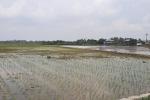 Dijual Lahan Zona Perumahan 10 Hektar di Sukatani , Bekasi