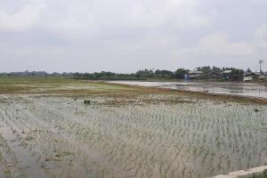 Dijual Lahan Zona Perumahan 10 Hektar di Sukatani , Bekasi